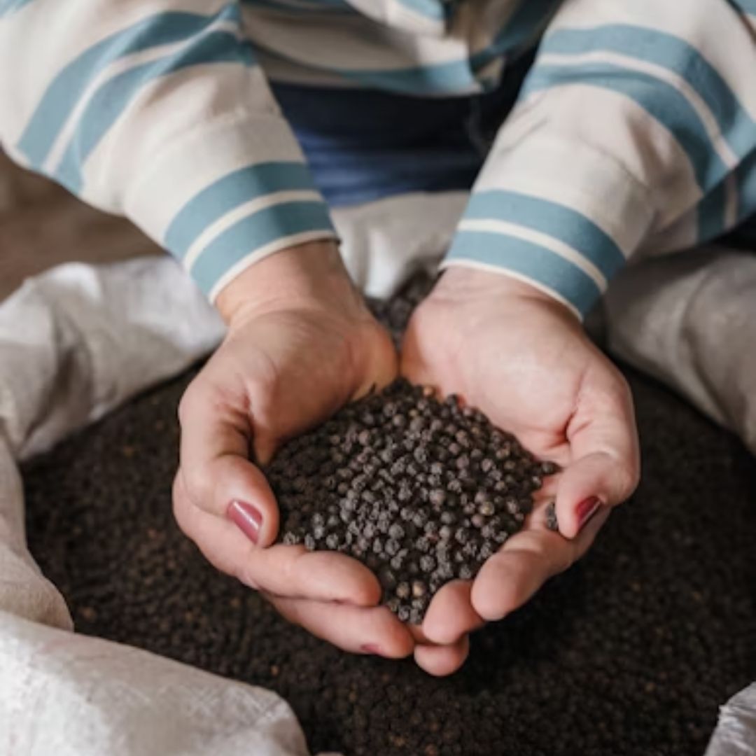 Premium Black Pepper